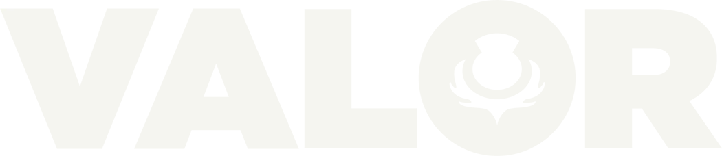 Valor logo